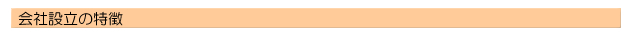 会社設立の特徴